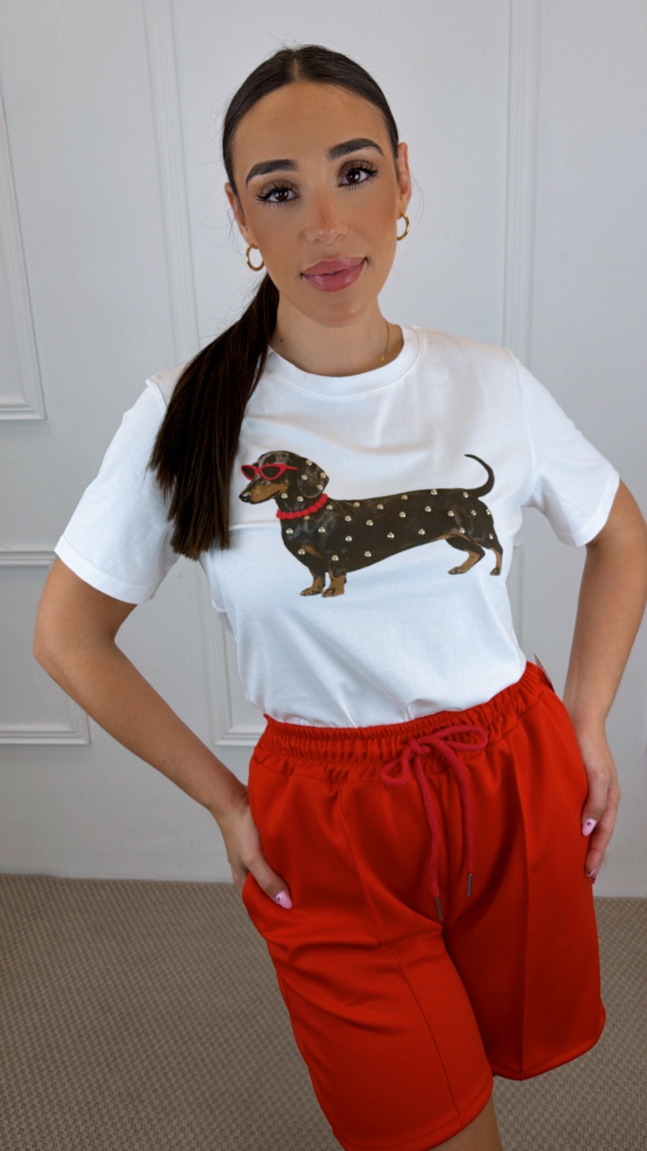 Camiseta perrito